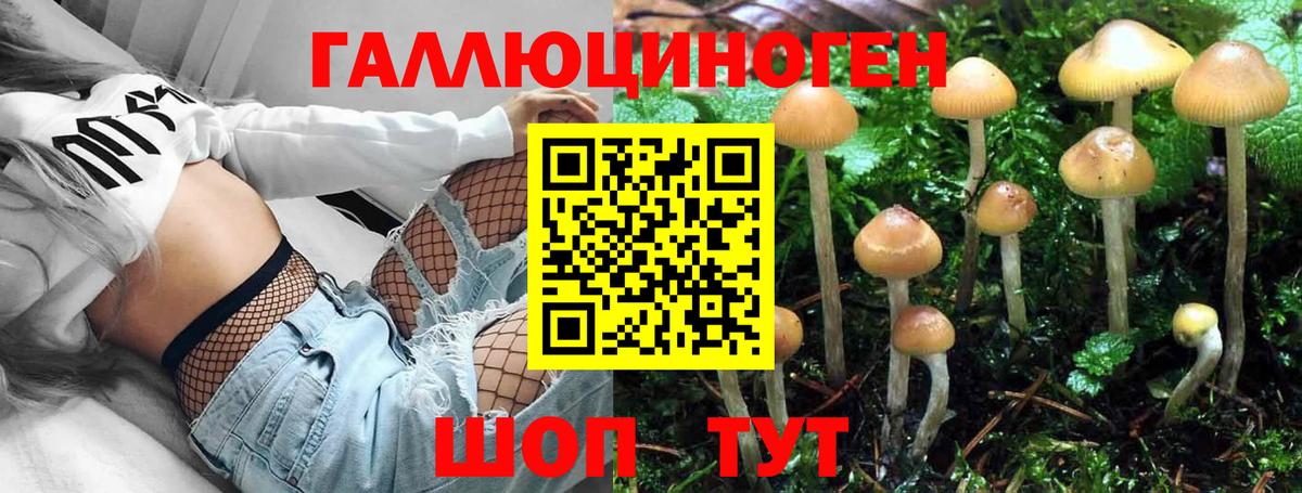 Советск  Псилоцибиновые грибы MAGIC MUSHROOMS  Вход с VPN 