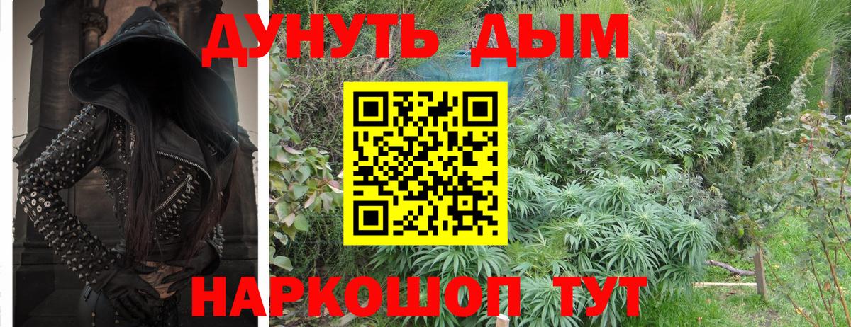 Шишки марихуана ГИДРОПОН Советск